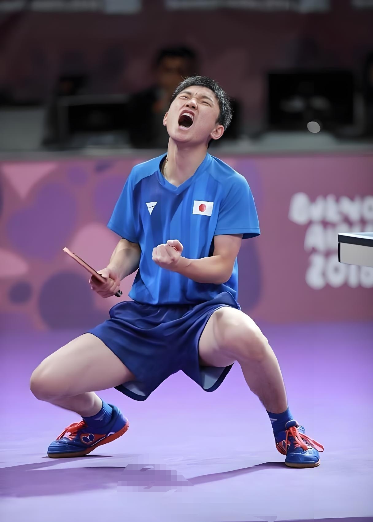 包含中国乒乓球队横扫日本乒乓球队，张本智和惊艳世界的词条