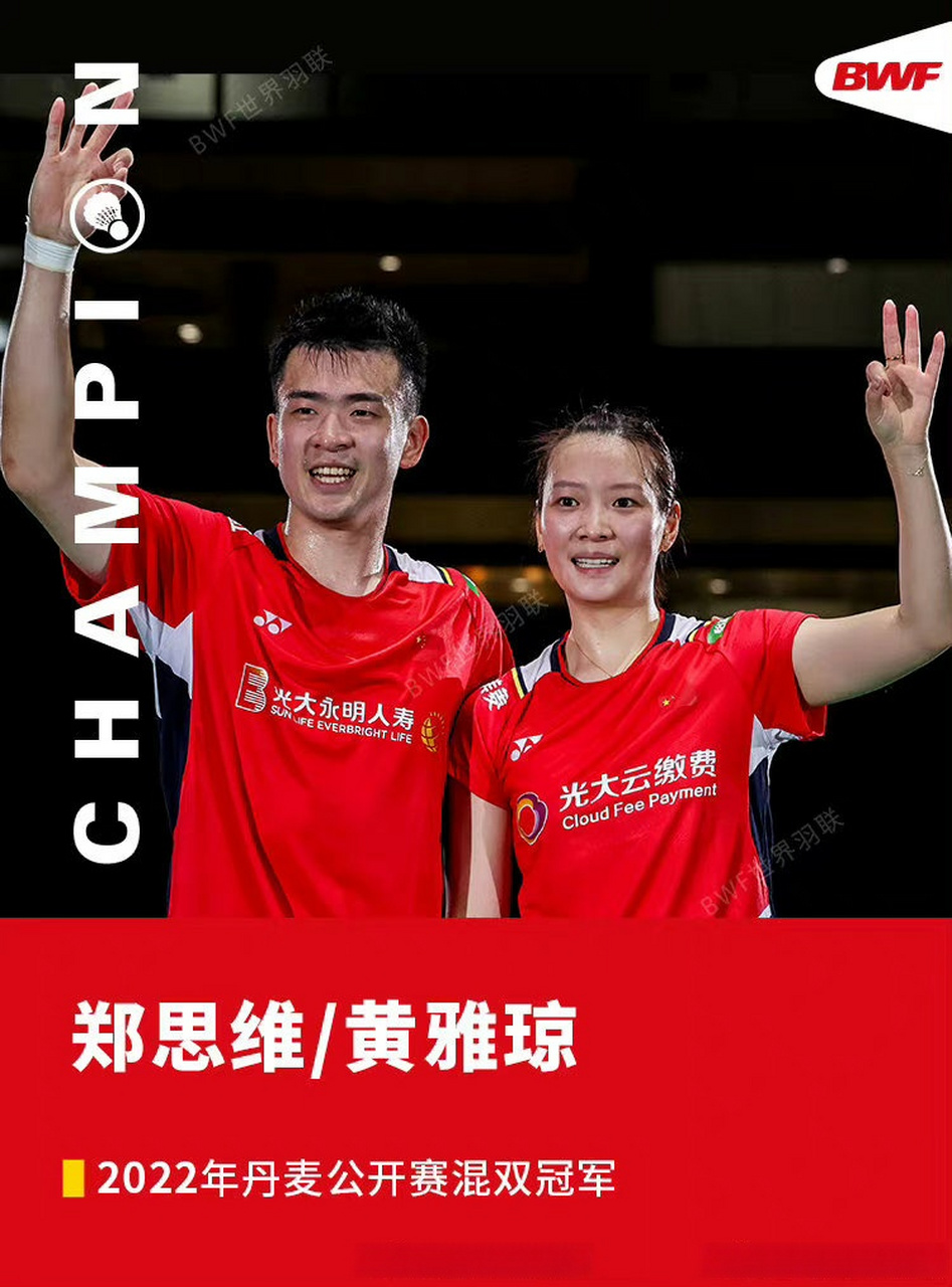 关于丹麦队完胜法国队，郑思维关键制胜的信息