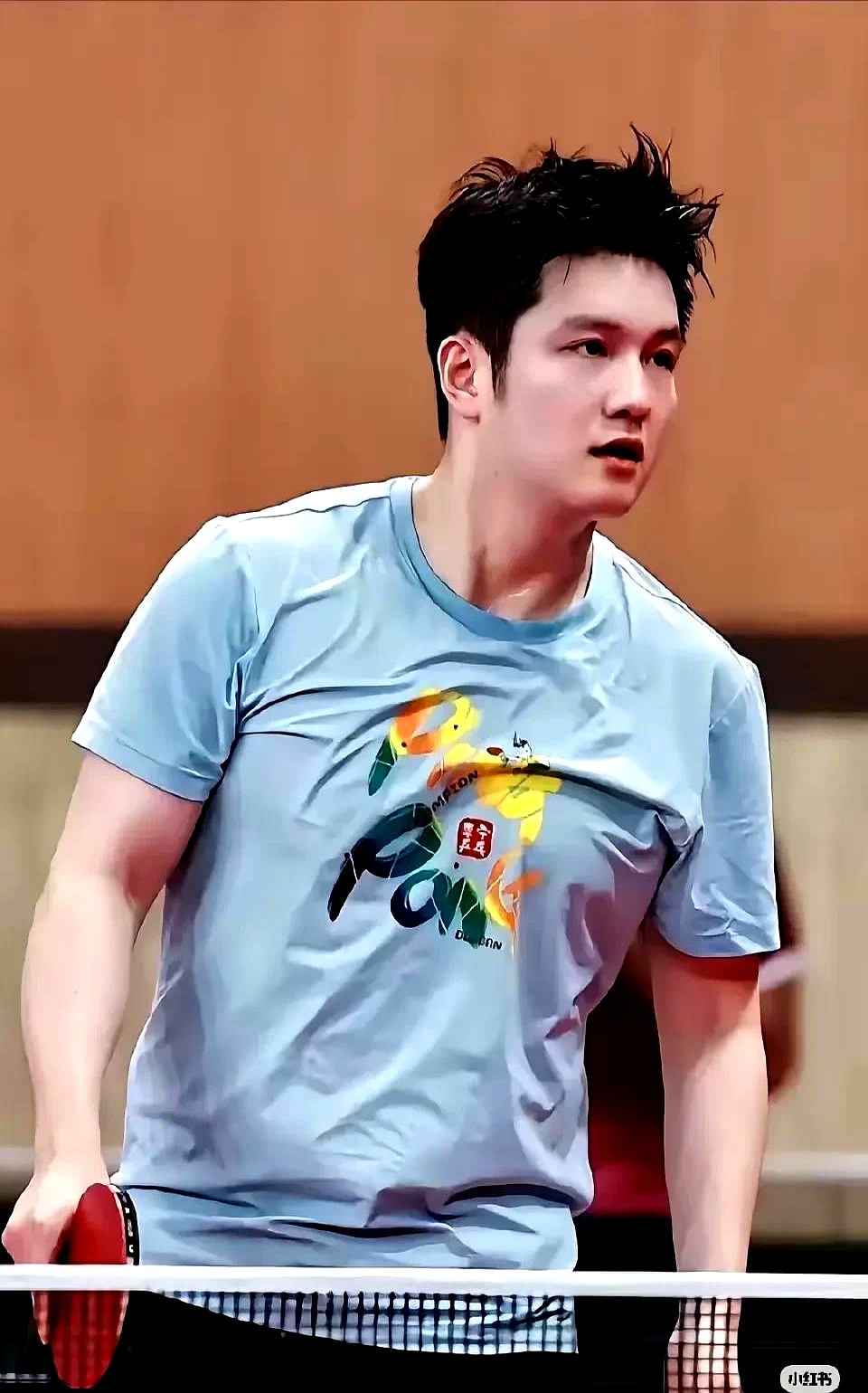 开云体育平台APP-韩国队碾压法国队，樊振东惊艳四座