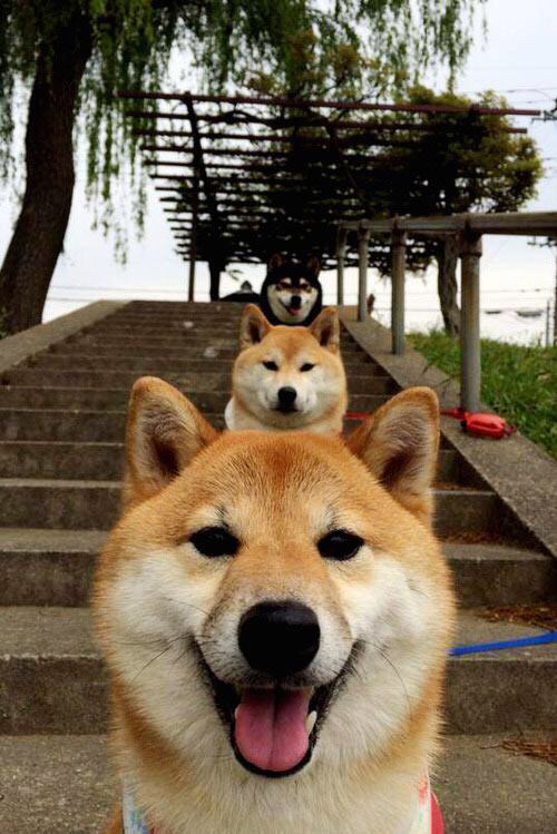 非洲之夜闪耀的欧洲之星,迪巴拉如何用一己之力改写对决剧本?